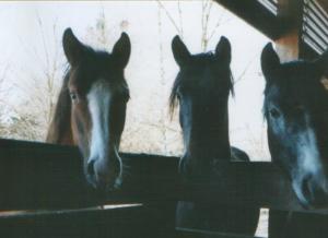 Aisha_Bahia_und_Bagira