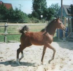 a_Nala_wunderschon_3_Monate