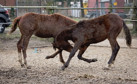 5IMG-20180217-WA0007