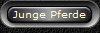 Junge Pferde