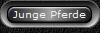 Junge Pferde