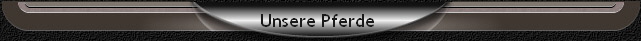 Unsere Pferde 